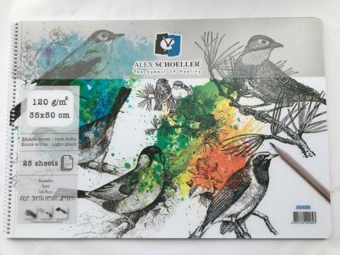 Alex Schoeller Karakalem,Pastel,Sulu Boya İnce Grenli Resim Defteri 25 Yaprak 120Gr 35x50cm Spiralli Çizim Defteri