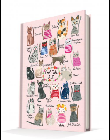 Deffter Cool Cats A-Z 14x20cm Sert Kapak 96 Yaprak Ciltli Defter