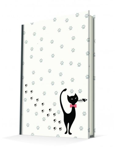 Deffter Aristocrat Cat  96 Yaprak Çizgisiz Sert Kapak Defter