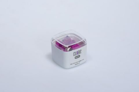Cubbie - Omega Renkli Kıskaç 19Mm - Mor