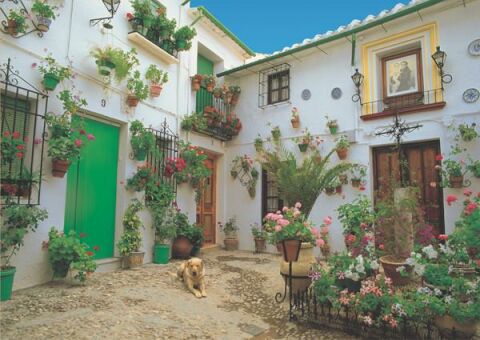 Keskin Color 48x68cm Süslü Ev 1000 Parça Puzzle