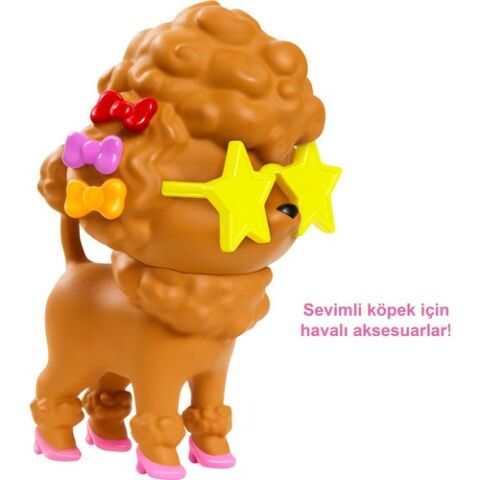 Barbie Extra - Gökkuşağı Renkli Ceketli Bebek Köpek Figürü İle 3-9 Yaş Arası Kızlar İçin İdeal Bir Hediye Gvr04