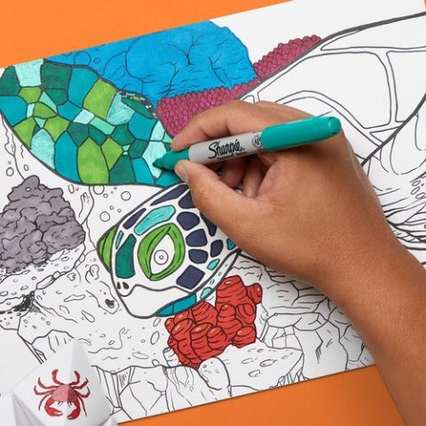 Sharpie Yılbaşı Fine Permanent Markör 24'lü