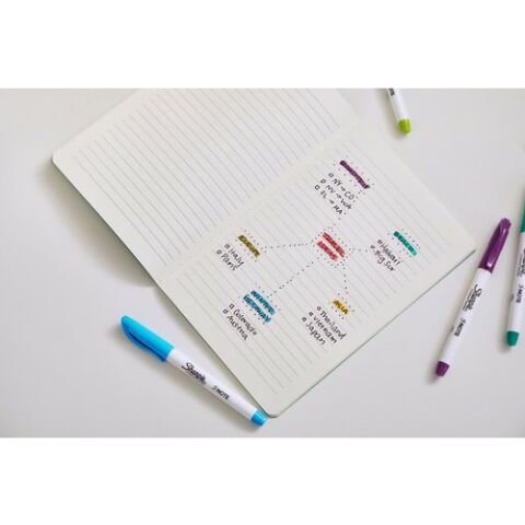 SHARPIE SNOTE Fosforlu Kalem, Kesik uç, 4'lü Karışık Renk