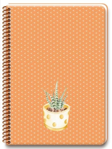 Keskin Color 20x28cm Saguaro 100 Yaprak Çizgili Sert Kapak Spiralli Defter