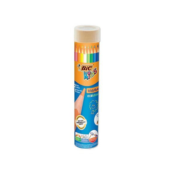 Bic Kuru Boya Kalemi 12'li Tüp