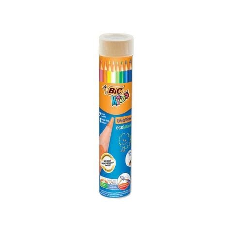 Bic Kuru Boya Kalemi 12'li Tüp