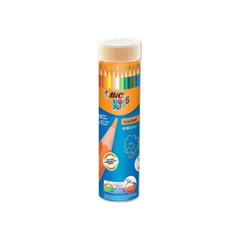 Bic Kuru Boya Kalemi 24'lü Tüp