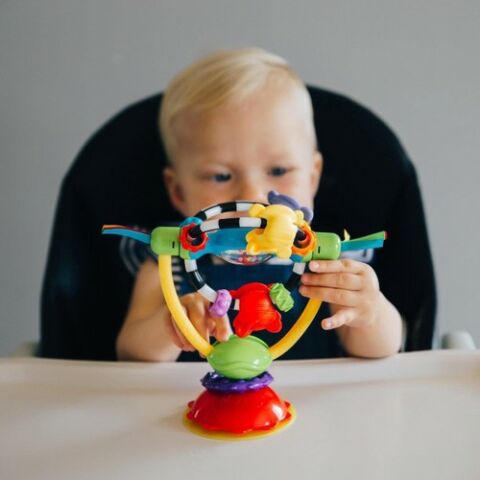 Playgro Vakumlu Mama Sandalyesi Oyuncağı Çıngırak Diş Kaşıyıcı
