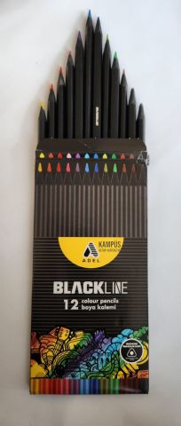 Adel Blackline 12 Renk Kuru Boya Karton Kutu