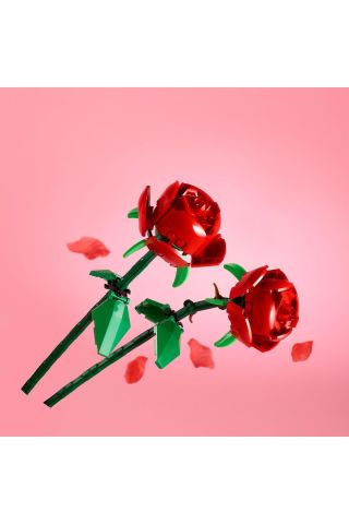 40460 Iconic Rose