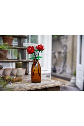 40460 Iconic Rose