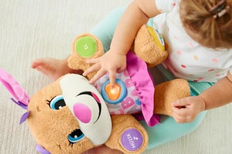 Fisher Price LnL Yaşa Göre Gelişim Eğtici Köpekçiğin Kız Kardeşi (Türkçe) FPP83