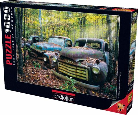 Anatolian Geçmişin Kalıntıları 1021 48x66 1000 Parça Puzzle