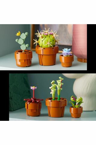® Icons Minik Bitkiler 10329 - Yetişkinler için Model Yapım Seti (758 Parça)