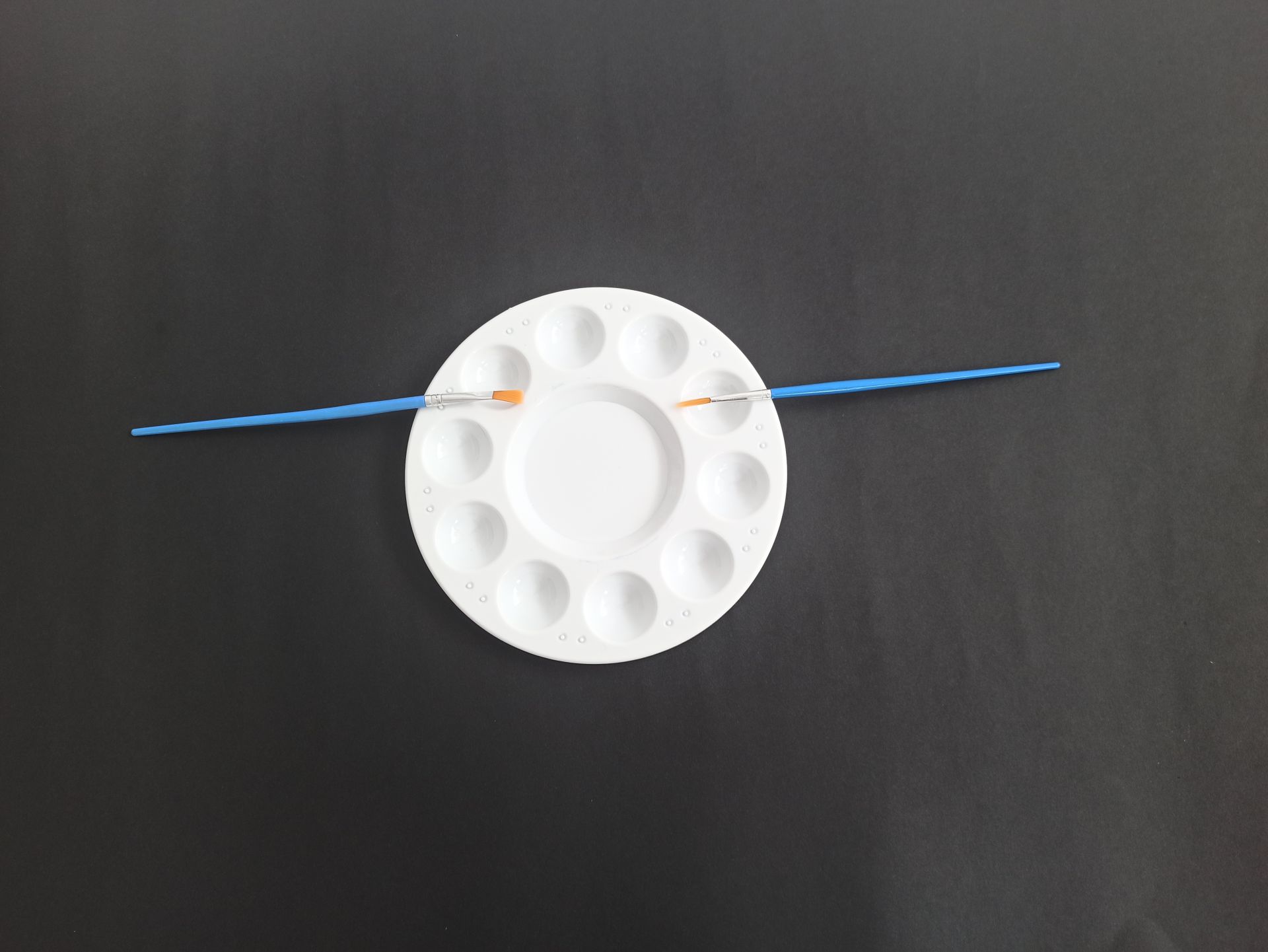 Ceoart Plastik Yuvarlak Fırçalı Palet