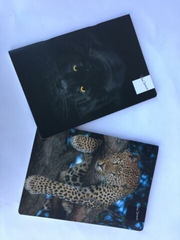 Keskin Color Uni Note 18.5x26 58 Yaprak Çizgili Plastik Kapak Ciltli Defter