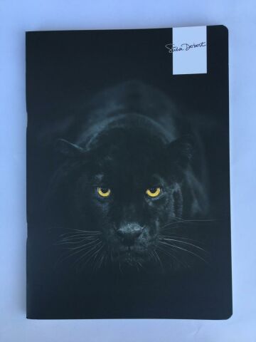 Keskin Color Uni Note 18.5x26 58 Yaprak Kareli Plastik Kapak Ciltli Defter