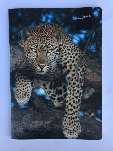 Keskin Color Uni Note 18.5x26 58 Yaprak Kareli Plastik Kapak Ciltli Defter
