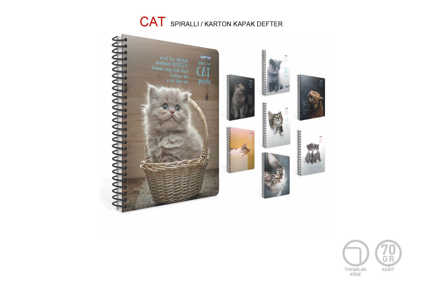 Gıpta Cat 17x24 80 Yaprak Kareli Plastik Kapak Spiralli Defter