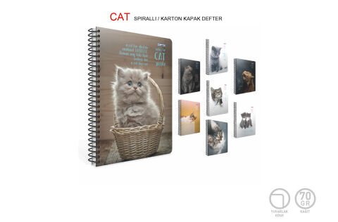 Gıpta Cat 17x24 80 Yaprak Kareli Plastik Kapak Spiralli Defter