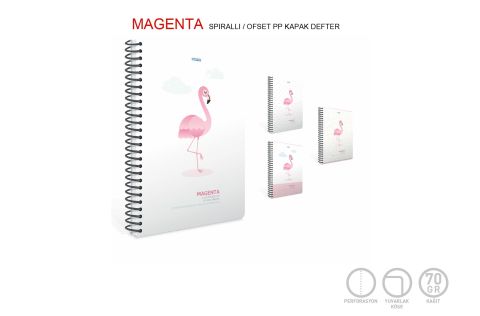 Gıpta Magenta Plastik Kapak 19x26 80 Yaprak Kareli Spiralli Defter