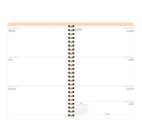 Keskin Color 17x24 Spiralli Akademik Ajanda Cactus