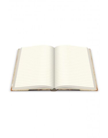 Deffter Art Of World The Creation Of Adam 96 Yaprak Çizgisiz Sert Kapak Defter