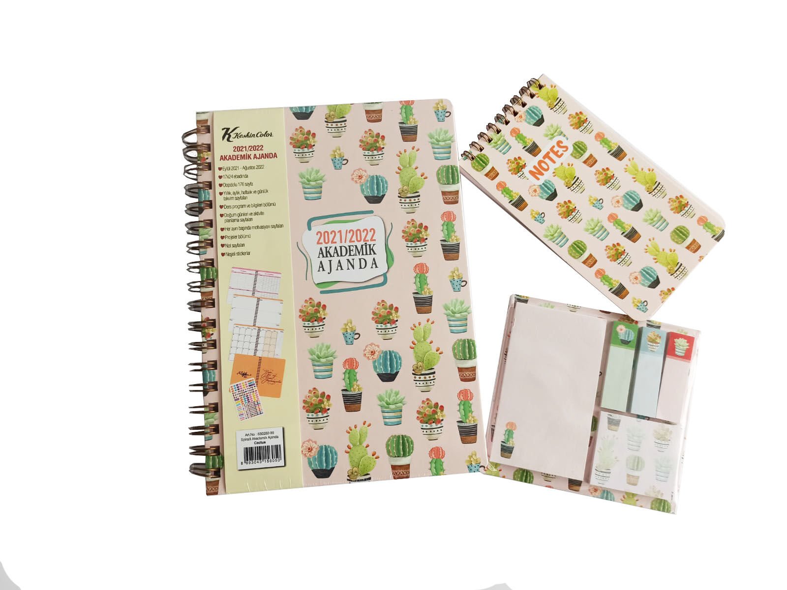 Keskin Color Akademik Set - Cactus
