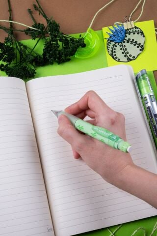 Deep Kalem + Defter + Min + Silgi Hediye Seti - Doğa Serisi Kaktüs