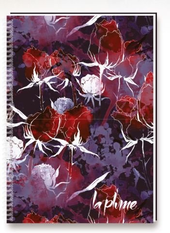 Keskin Color  La Plume A4 100 Yaprak Çizgisiz Spiralli Defter