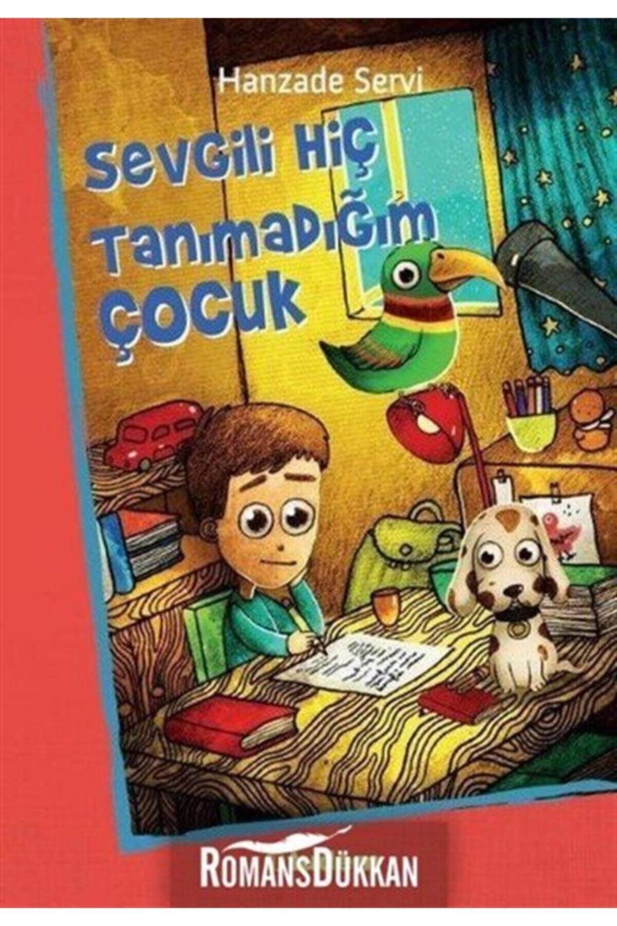 Sevgili Hiç Tanımadığım Çocuk - Hanzade Servi -