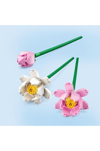Lotus Çiçekleri 40647
