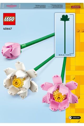 Lotus Çiçekleri 40647