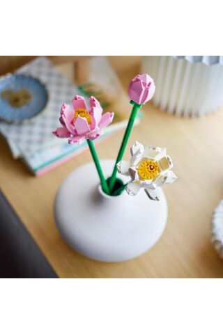 Lotus Çiçekleri 40647