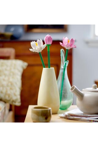 Lotus Çiçekleri 40647