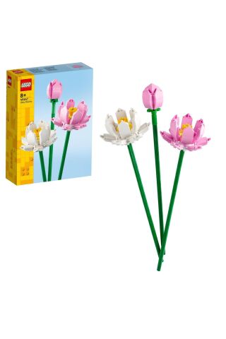 Lotus Çiçekleri 40647