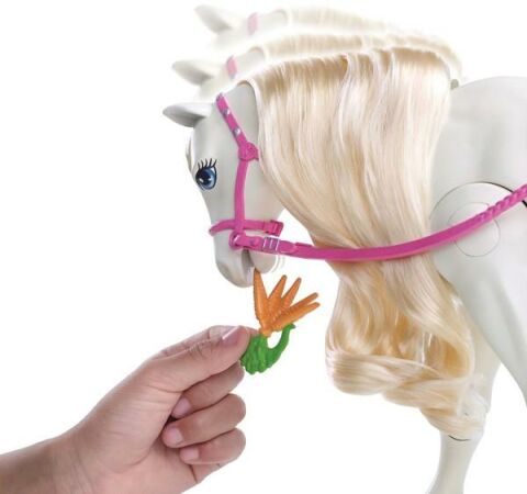 Barbie ve Muhteşem Atı (FRV36)