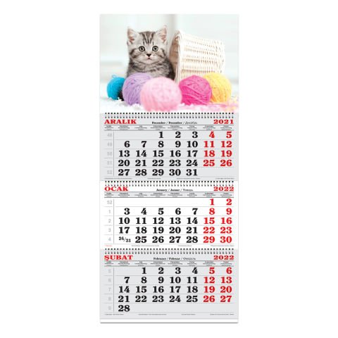 Keskin Color 3 Aylık Spiralli Denizci Takvim 2022 - Kediler 