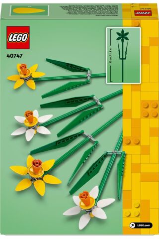 Icons Nergis 40747- Dekoratif, Koleksiyonluk ve Sergilenebilir Çiçek Modeli Yapım Seti (216 Parça)