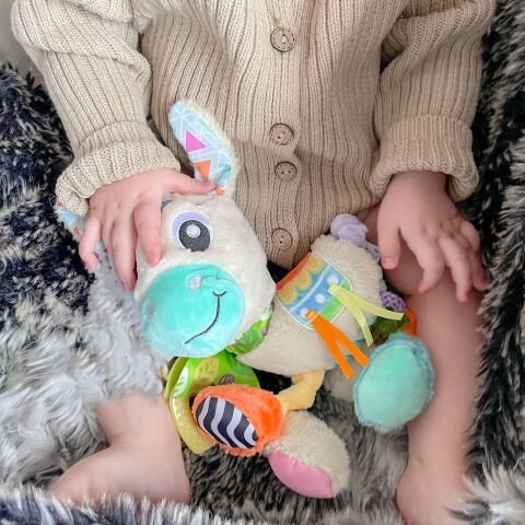 Playgro Sensory Friend Lupe Llama Asılabilir Oyuncak